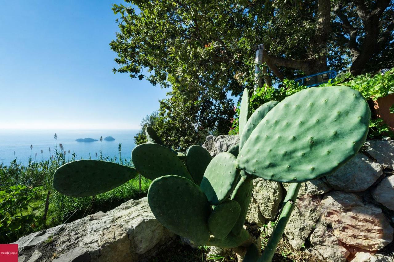 Apartamento Il Nibbio Piano di Sorrento Exterior foto