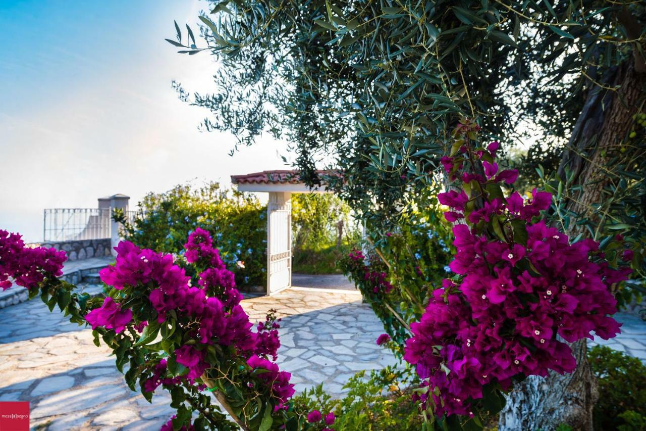 Apartamento Il Nibbio Piano di Sorrento Exterior foto