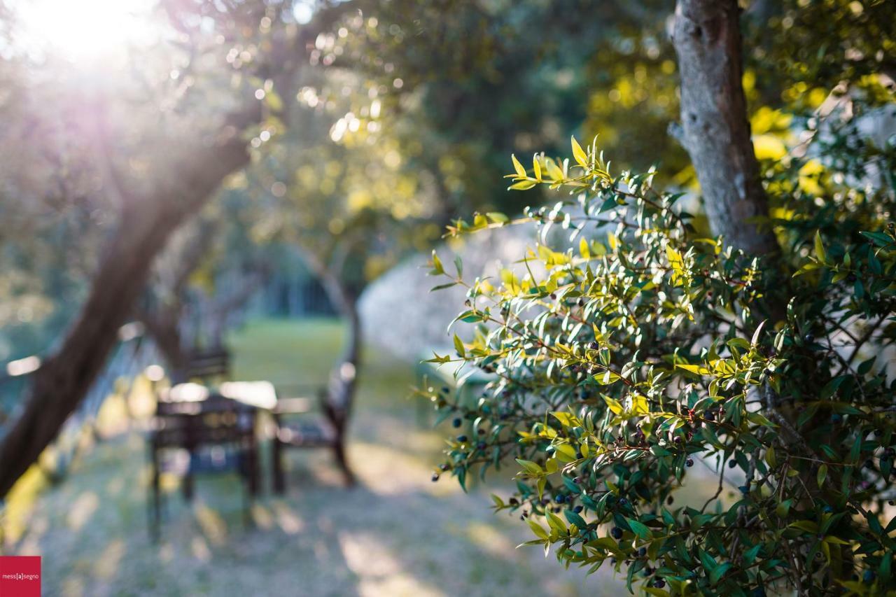 Apartamento Il Nibbio Piano di Sorrento Exterior foto