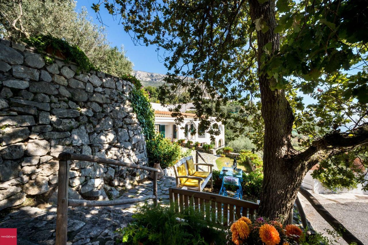 Apartamento Il Nibbio Piano di Sorrento Exterior foto