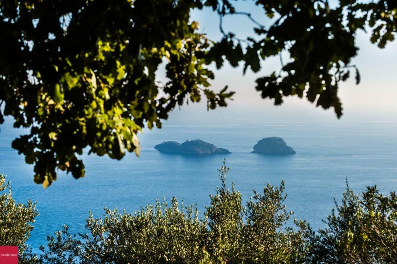 Apartamento Il Nibbio Piano di Sorrento Exterior foto